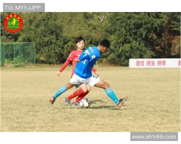 南京足球队在联赛中的节奏表现分析与未来展望